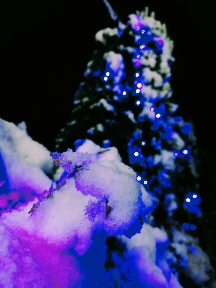 Lights in snow