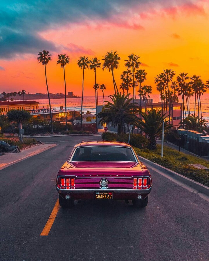 The California Landscape ❤️