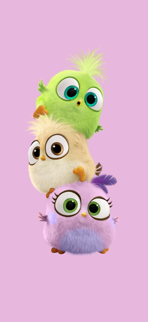 Angry birds