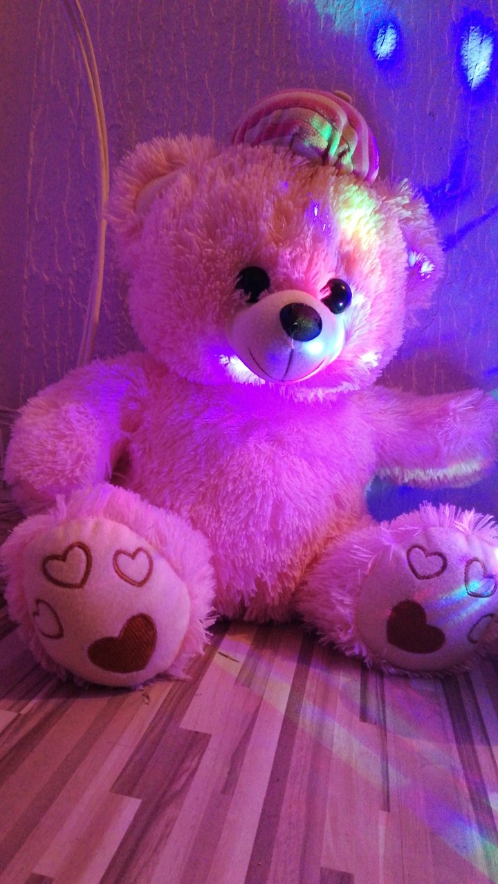 Cute Little Teddy!