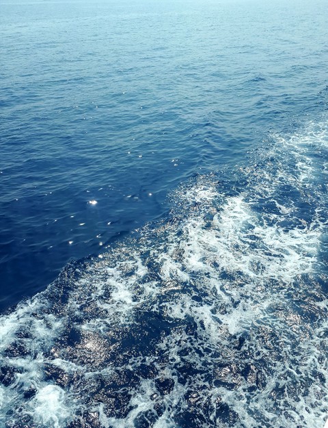 море