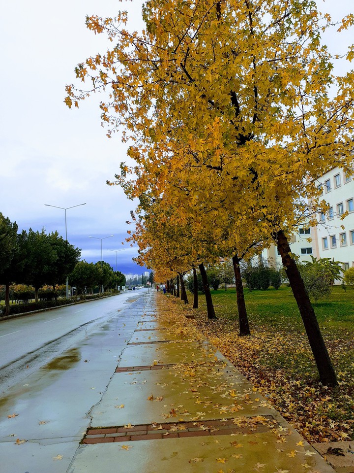 winter