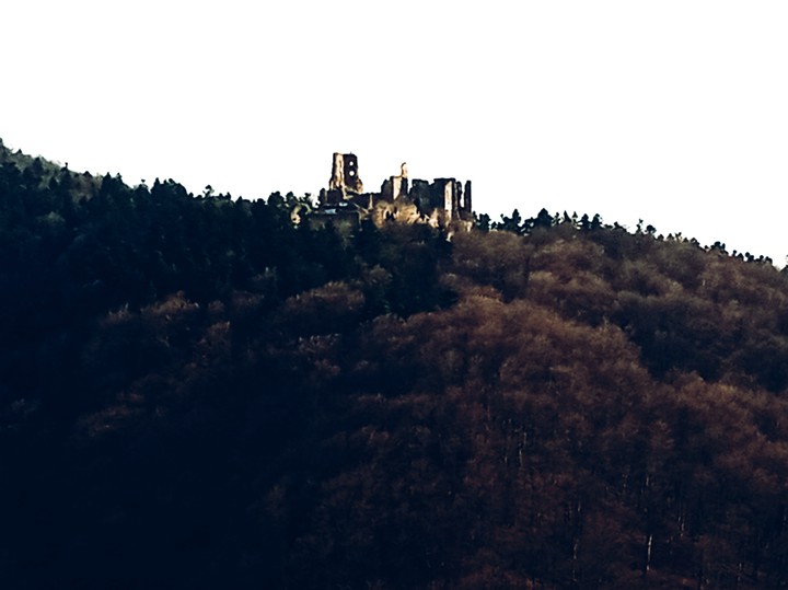 #darkcastle