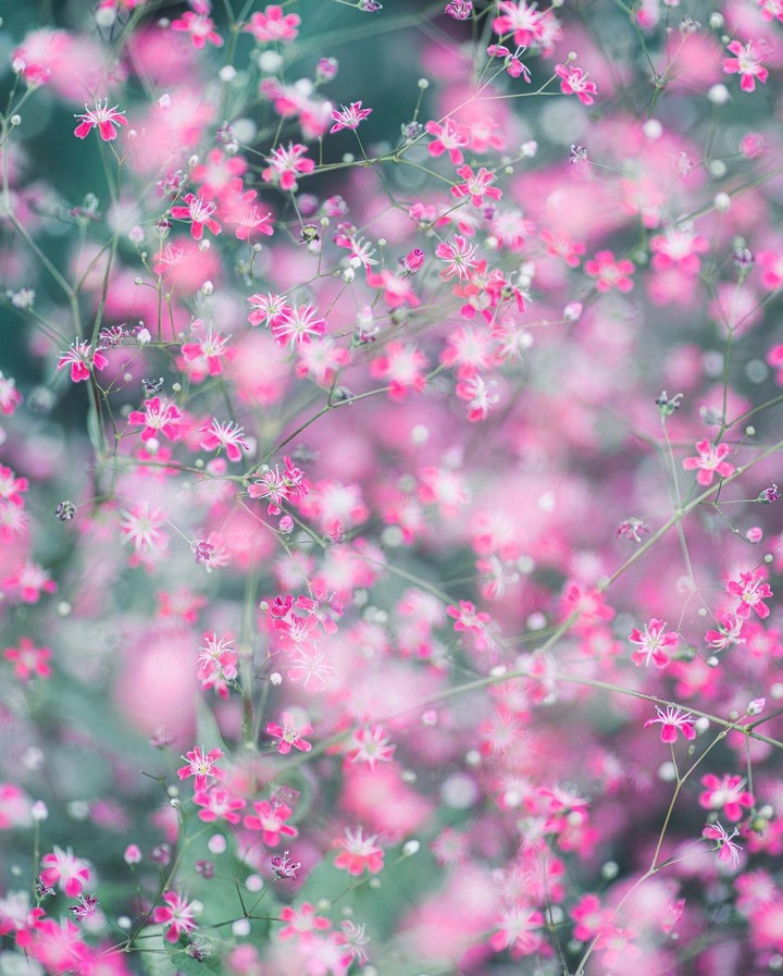 ~○｡°•♡♡♡•°｡○~
