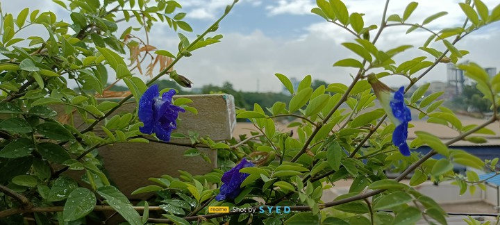 beautiful nature