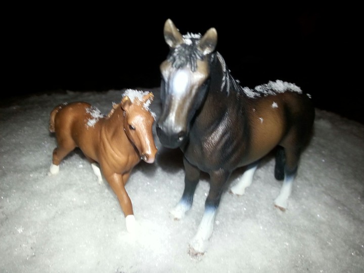 horse