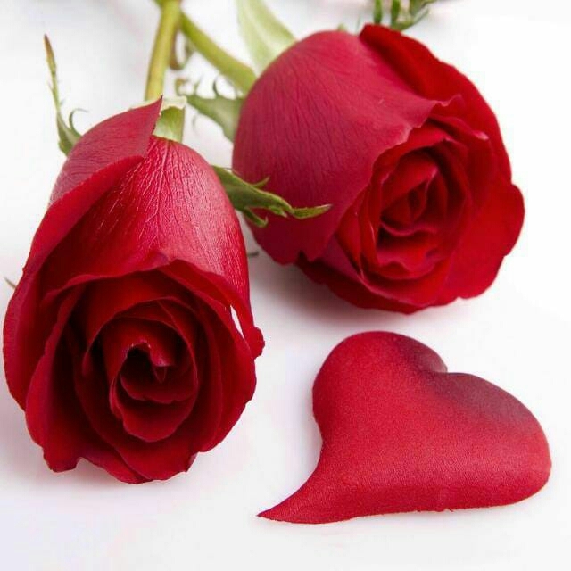 i miss you