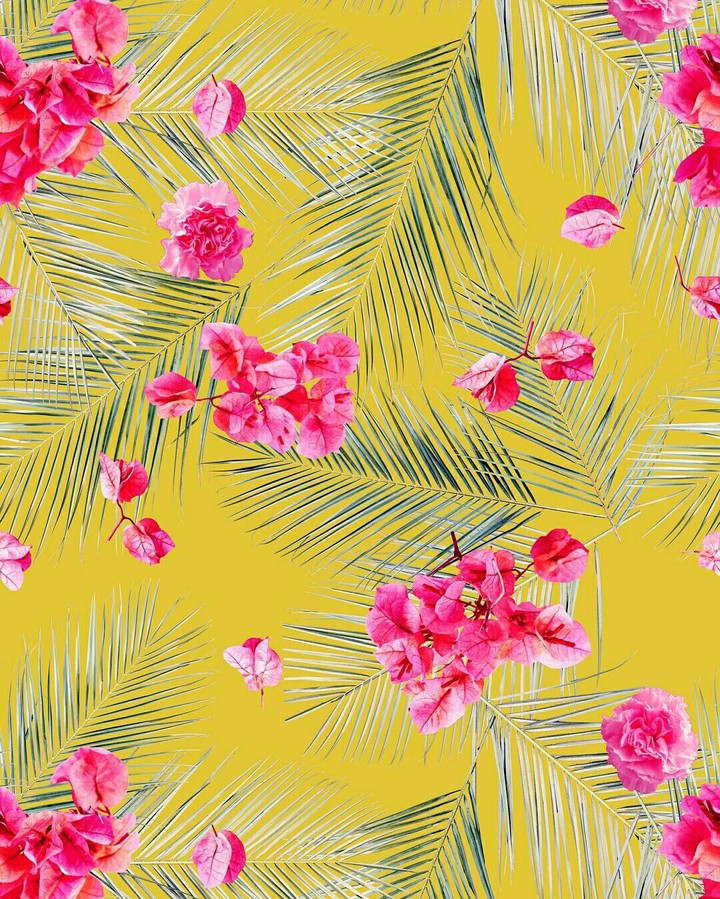 wallpaper