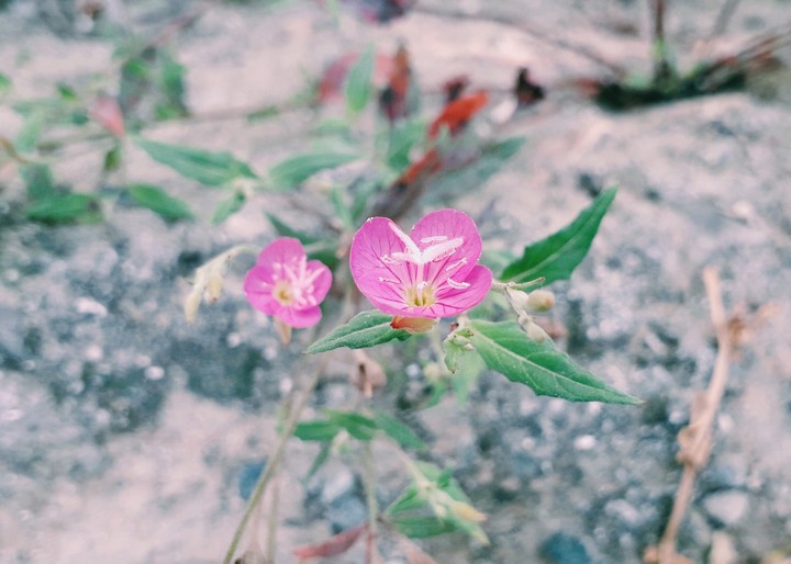 Small is Beautiful!