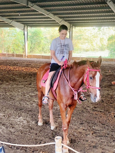 horse