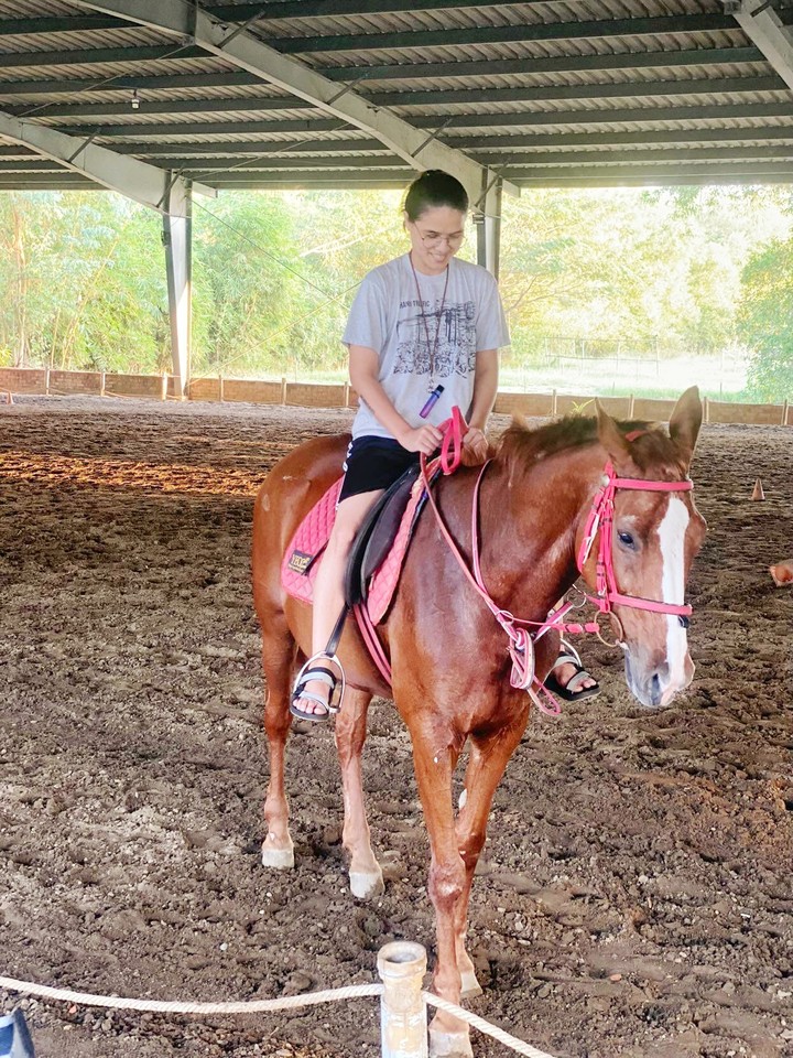 horse