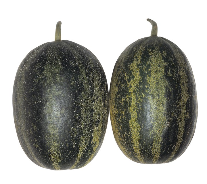 음식