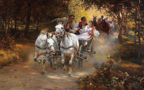 horses