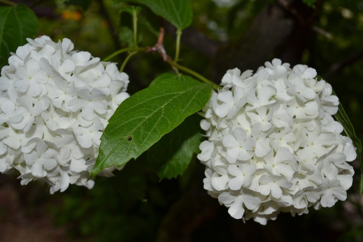 산이미지