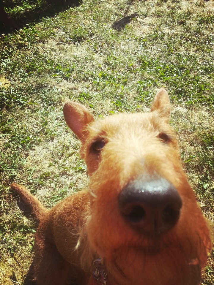 Lola