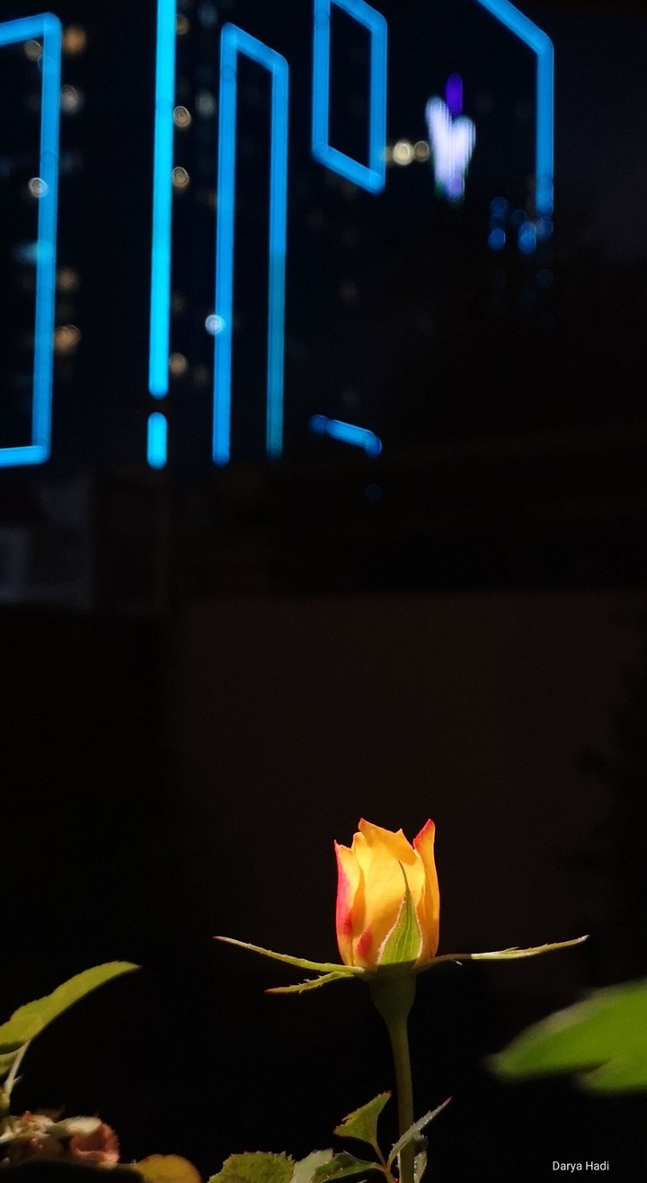 flower