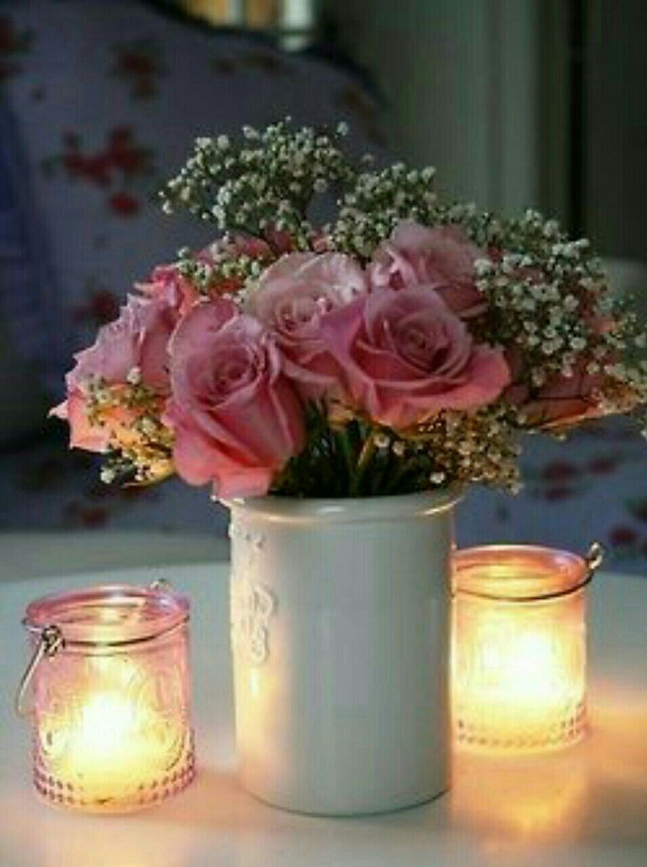 Flores e plantas.