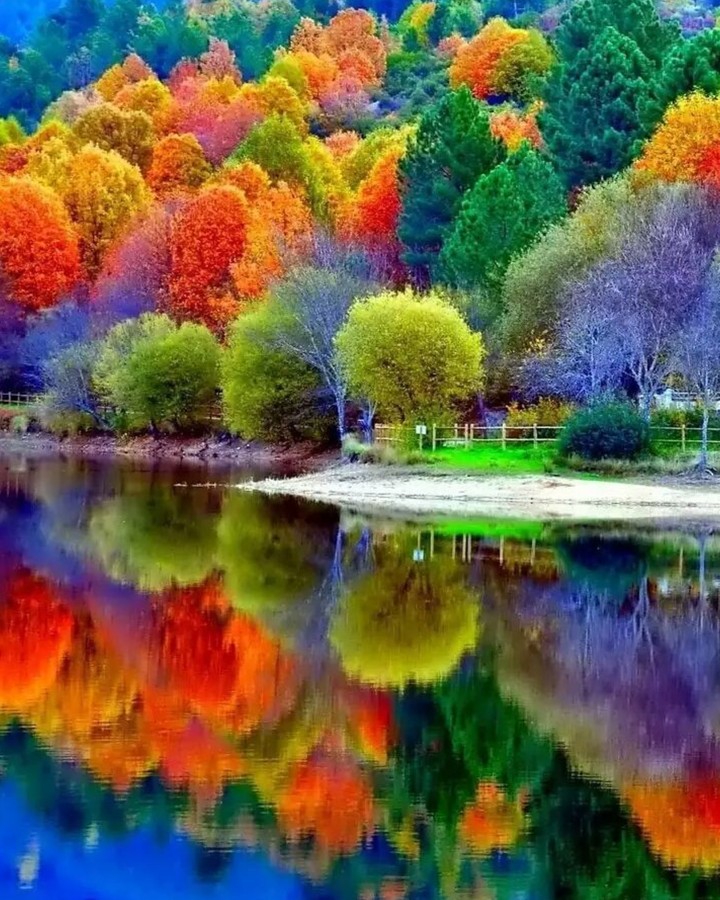 autumn