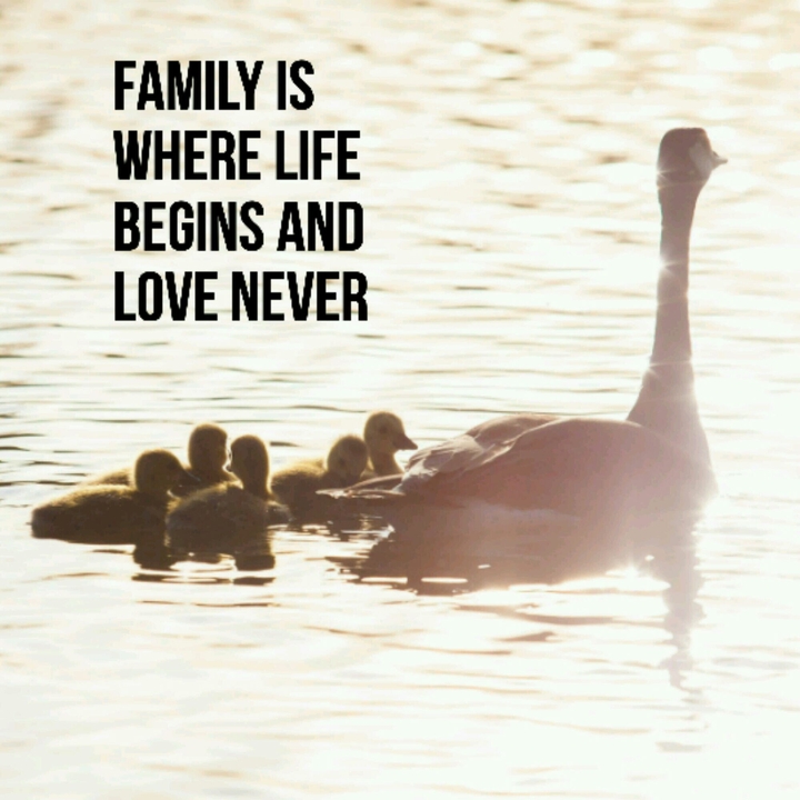 Family❤