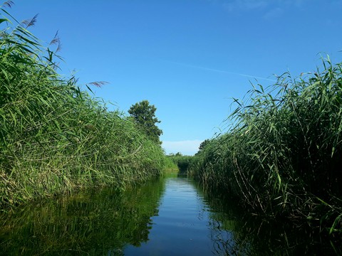On the canoe