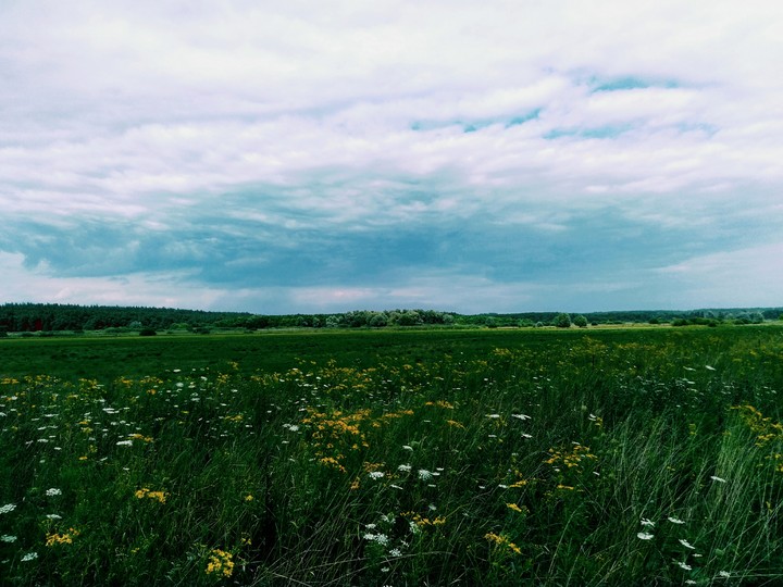 Greenfield