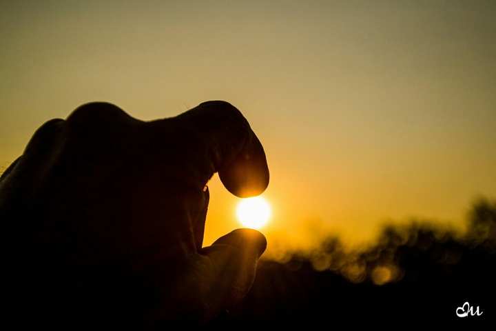 Sun, Soleil