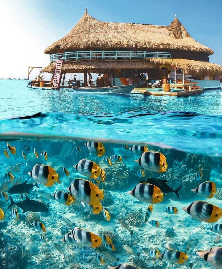 beautiful fish...