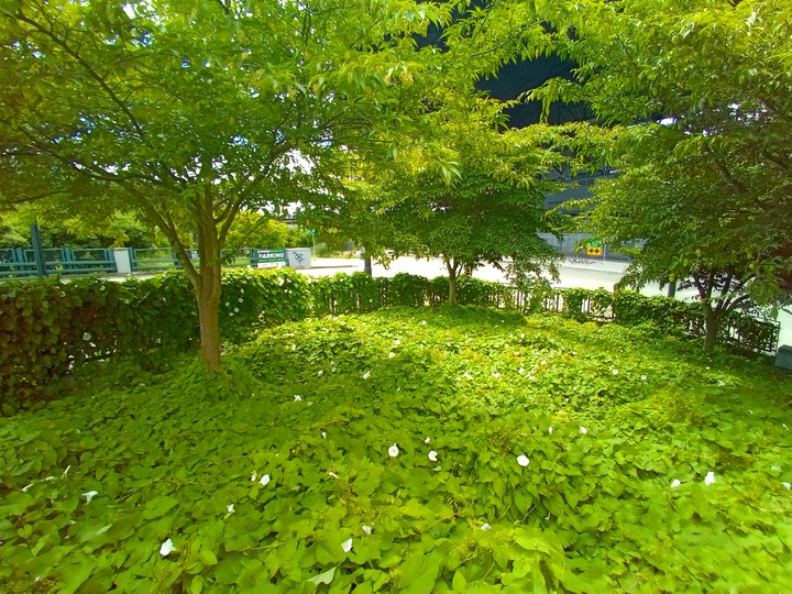 GreenER.