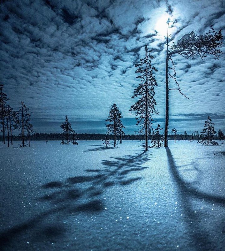 winter