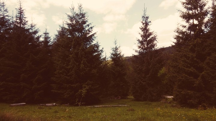 Hunedoara, Romania