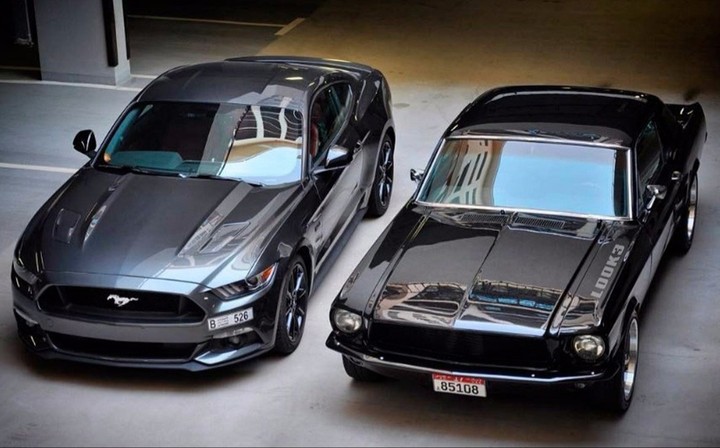 FORD MUSTANG EVOLUTION