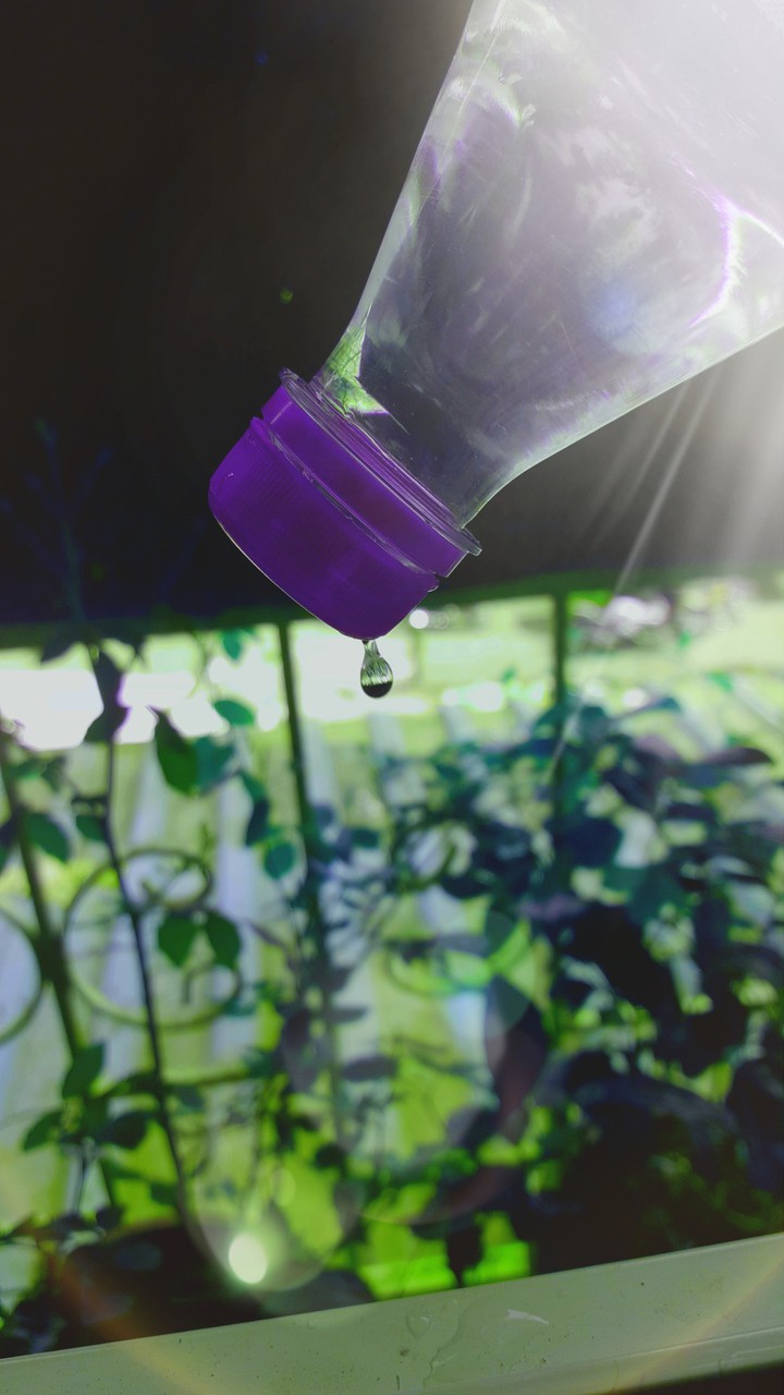 Drop