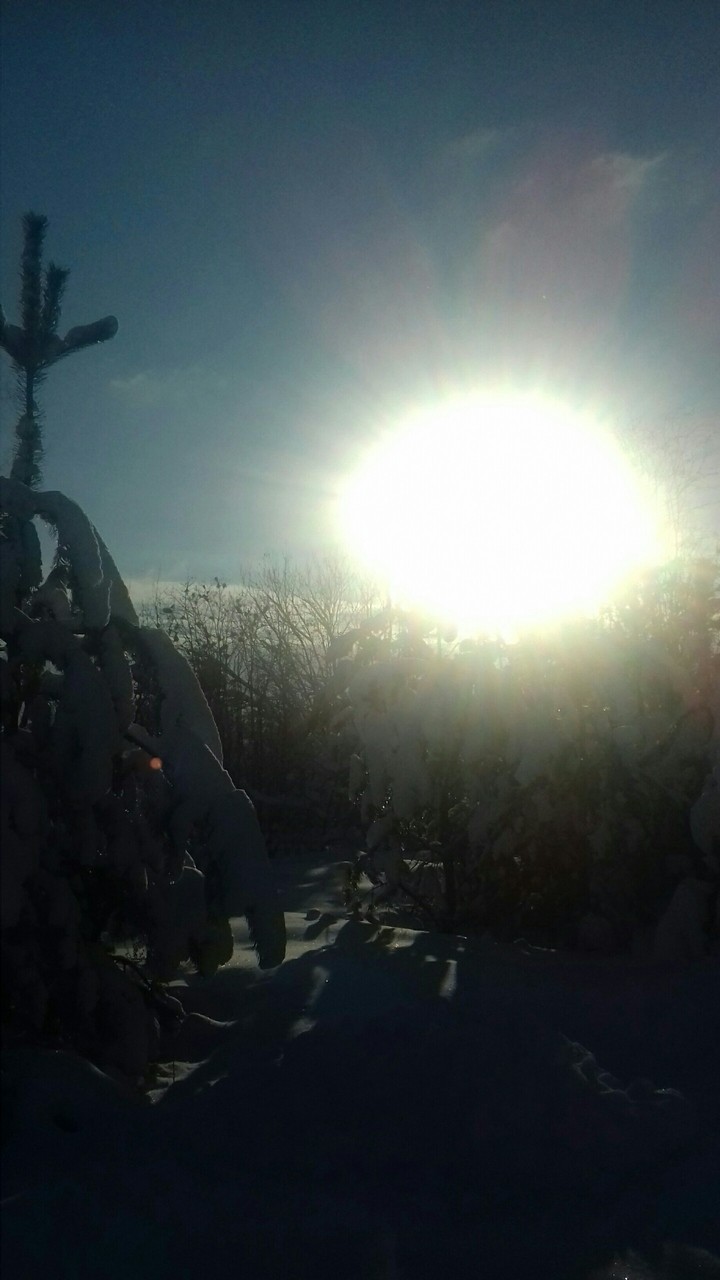 2019❄❄❄