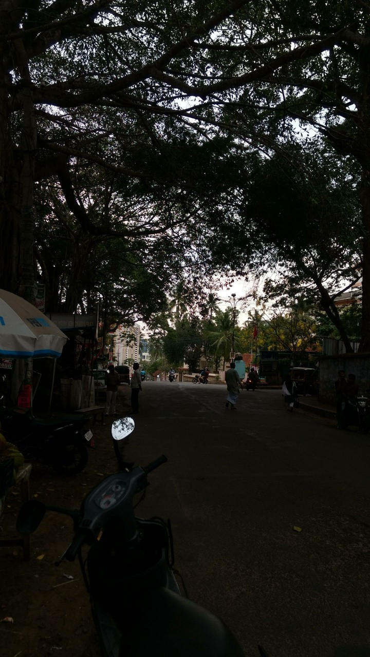 City