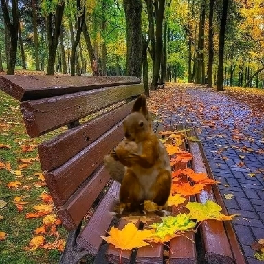 Белочка грызёт орешек.