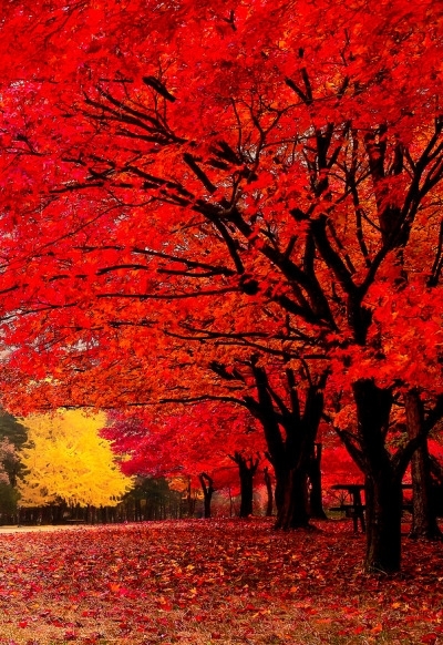 red
