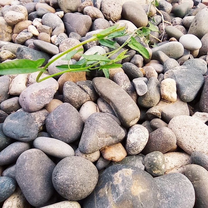 stone