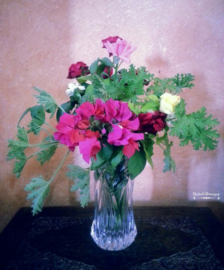 flower