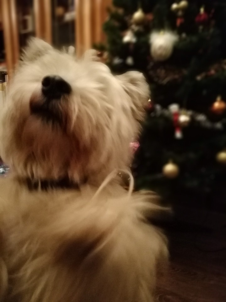 Christmas feeling