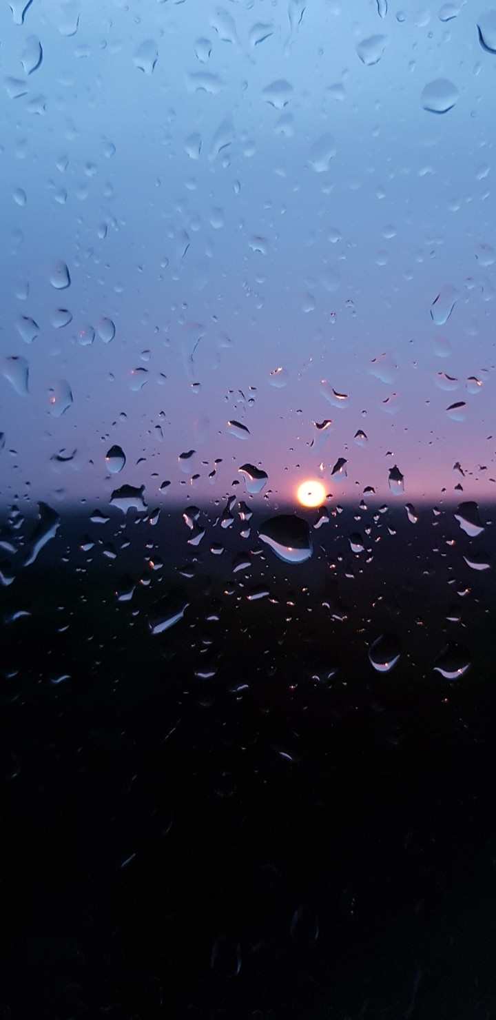 rain