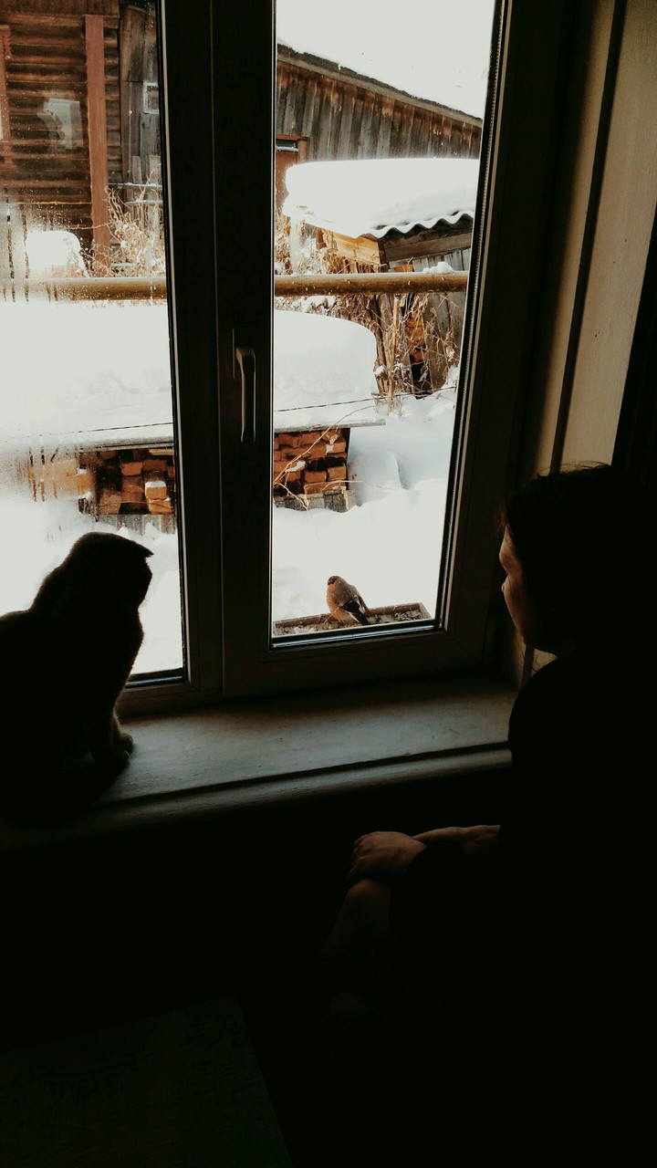 winter