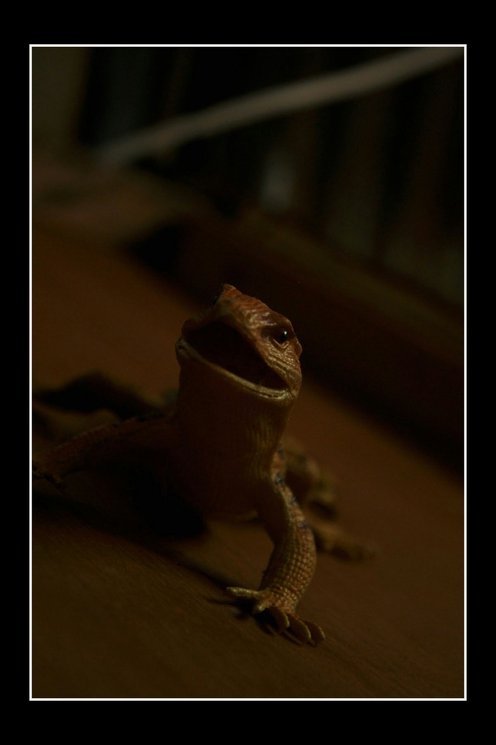 Kadal