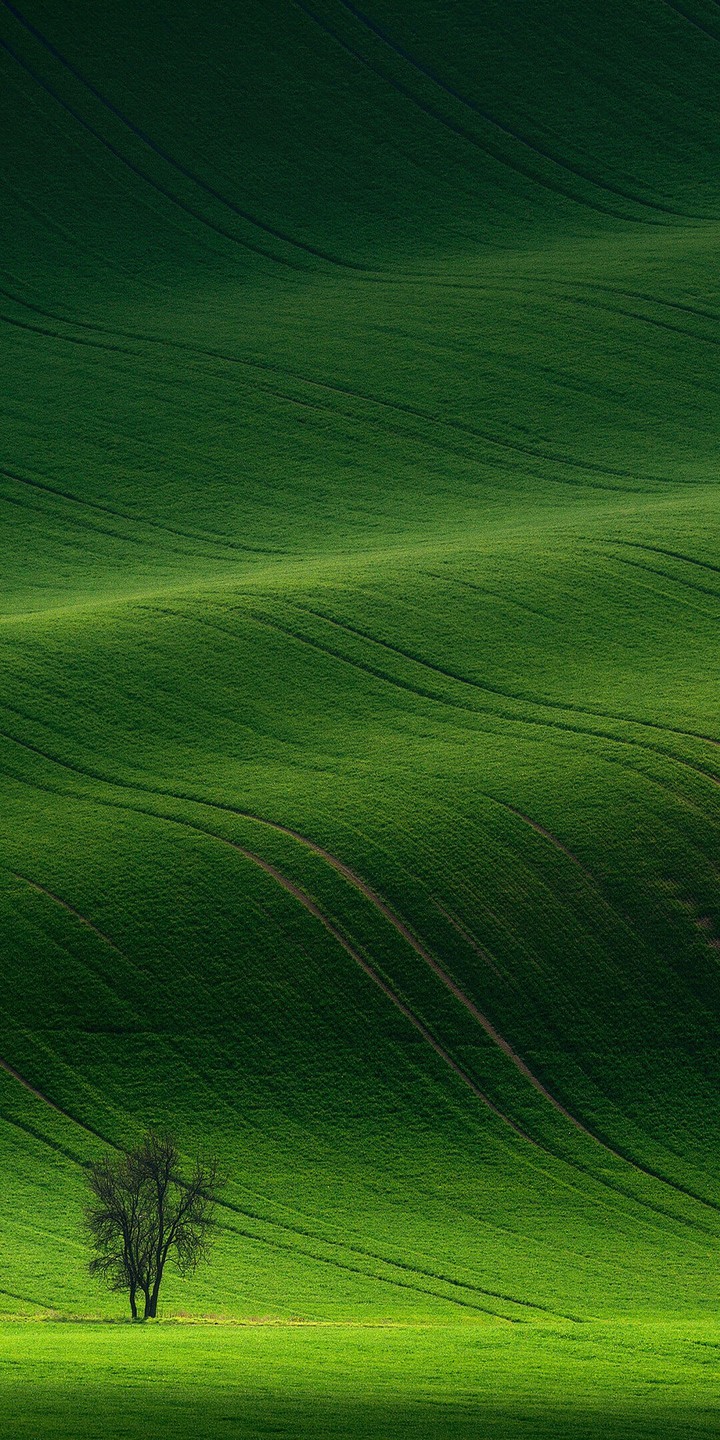 Greenery
