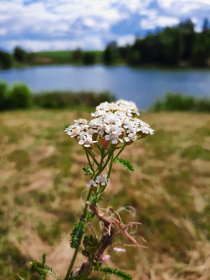 Красота родного края