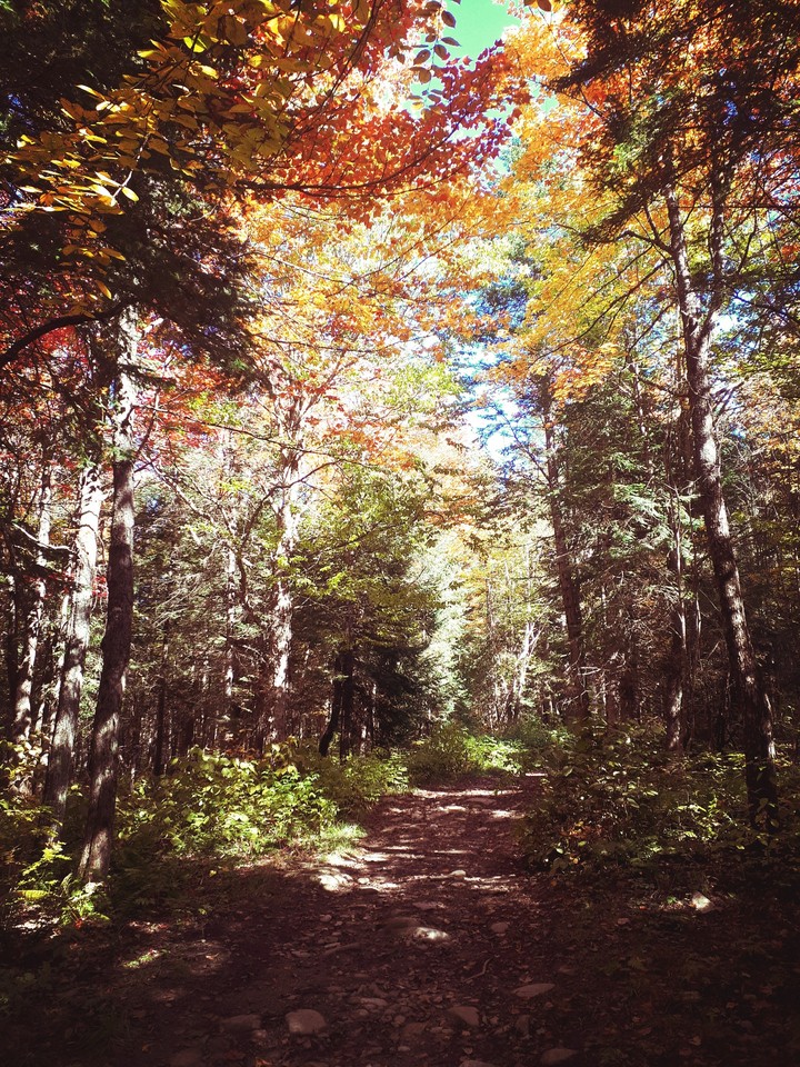 Autumn's beauty