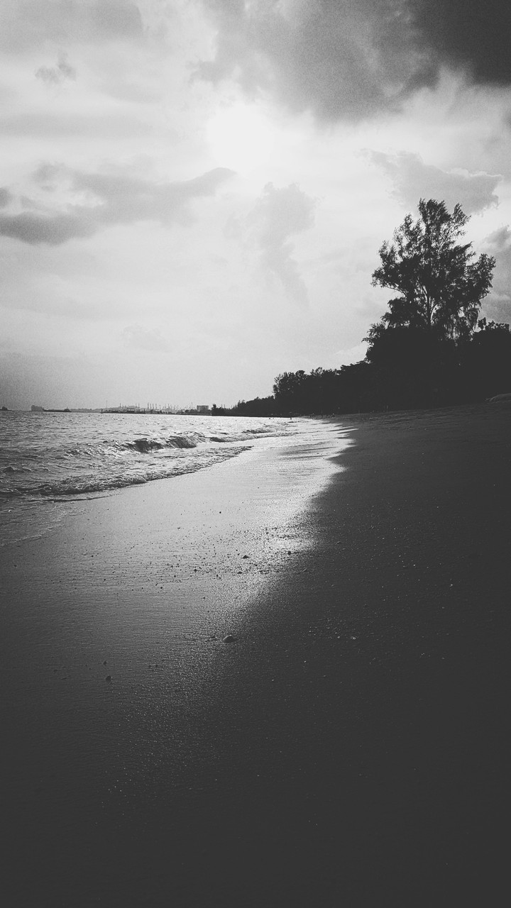 Day at the beach
