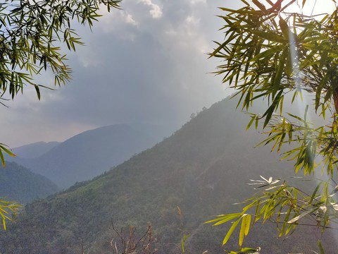 Nature