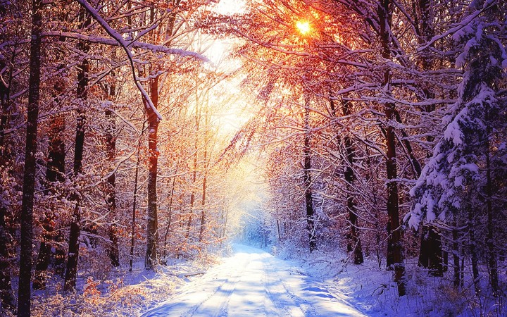 forest