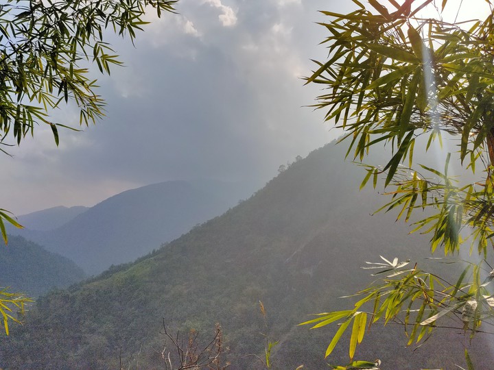 Nature