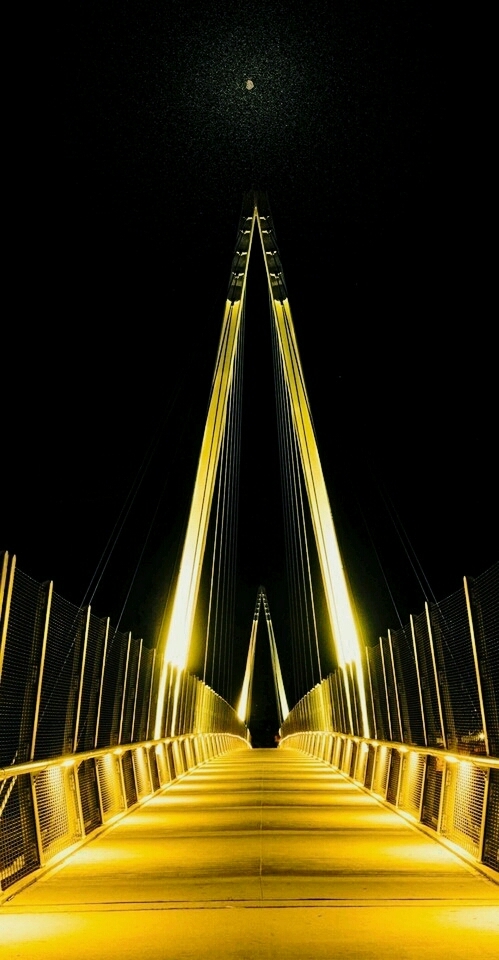 Bridge light